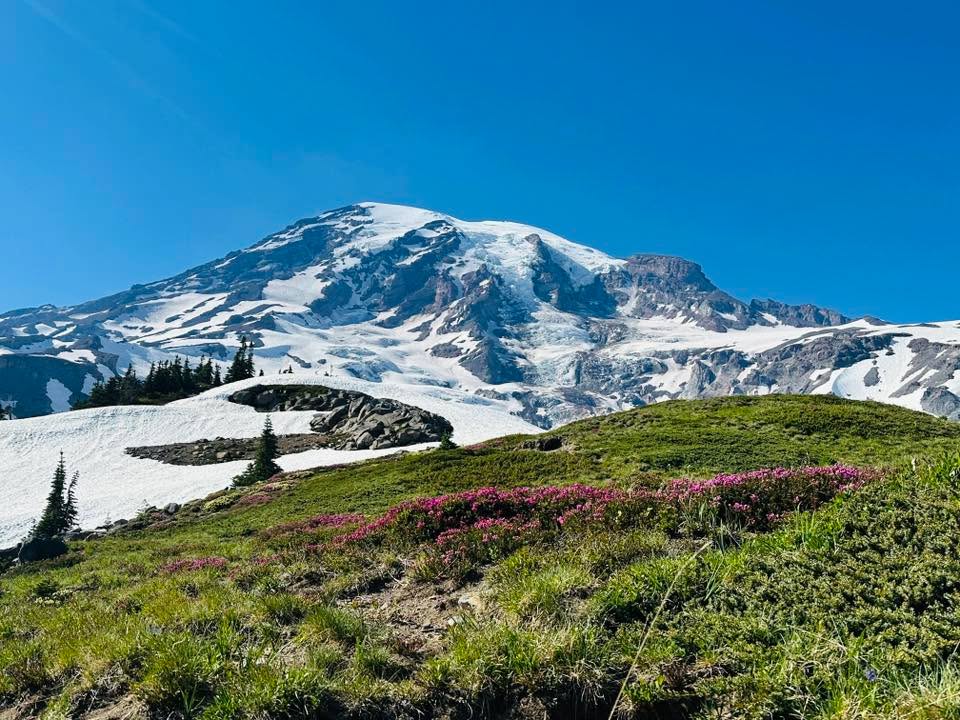 Mt. Rainier